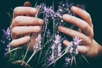 Lavender body butter - Image 2